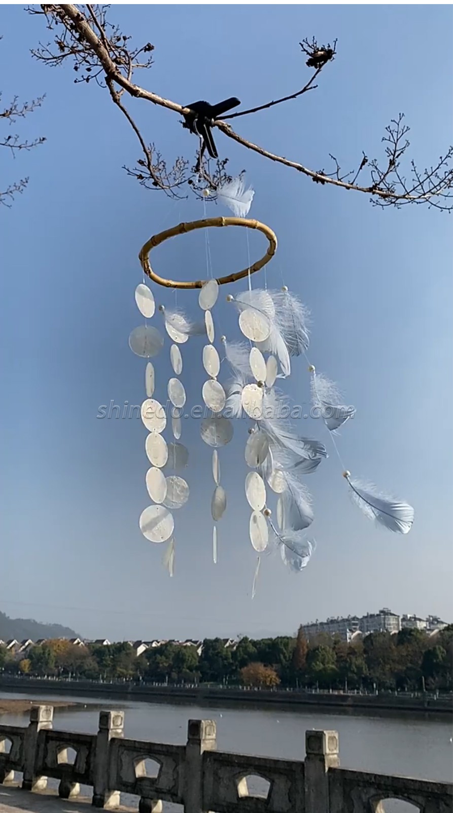 Natural Shell Dream Catcher Home Ornaments Innovative Gifts Wind Chimes Dreamcatcher Feathers Outdoor Wall Hangings Decoration