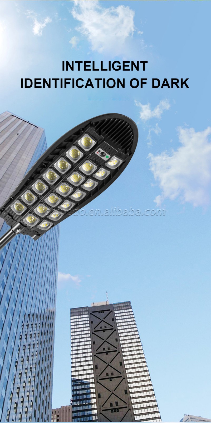 208/286/364/442/520/598 LED Highlight Solar Street Light Three Modes Induction Street Light SD-SSE189