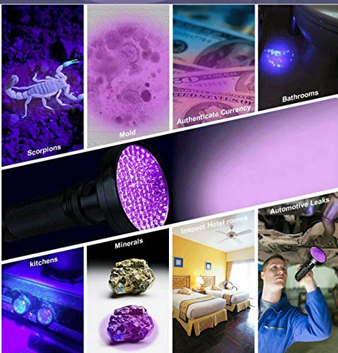 UV Flashlight Black Light, 100 LED 395 nM Ultraviolet Blacklight Detector for Dog Urine, Pet Stains and Bed Bug