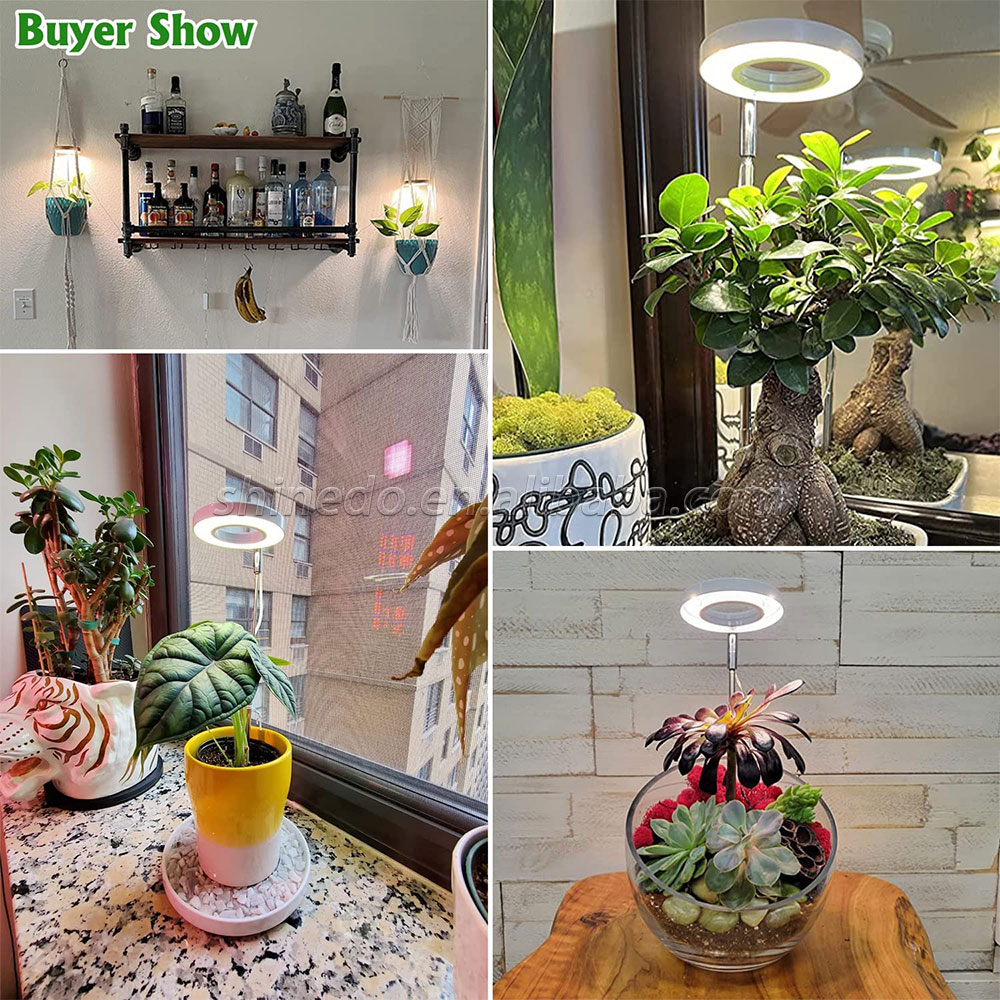 Full spectrum LED Houseplant Light Adjustable Height Growing light timer Switch 4 segments dimming