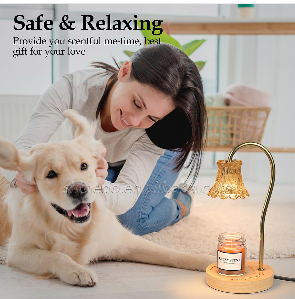 Candle Warmer Lamp Timer Vintage Crystal Candle Wax Warmer with Dimmer Safe Light Warmer for Jar Candle Home Decoration SD-SL1186