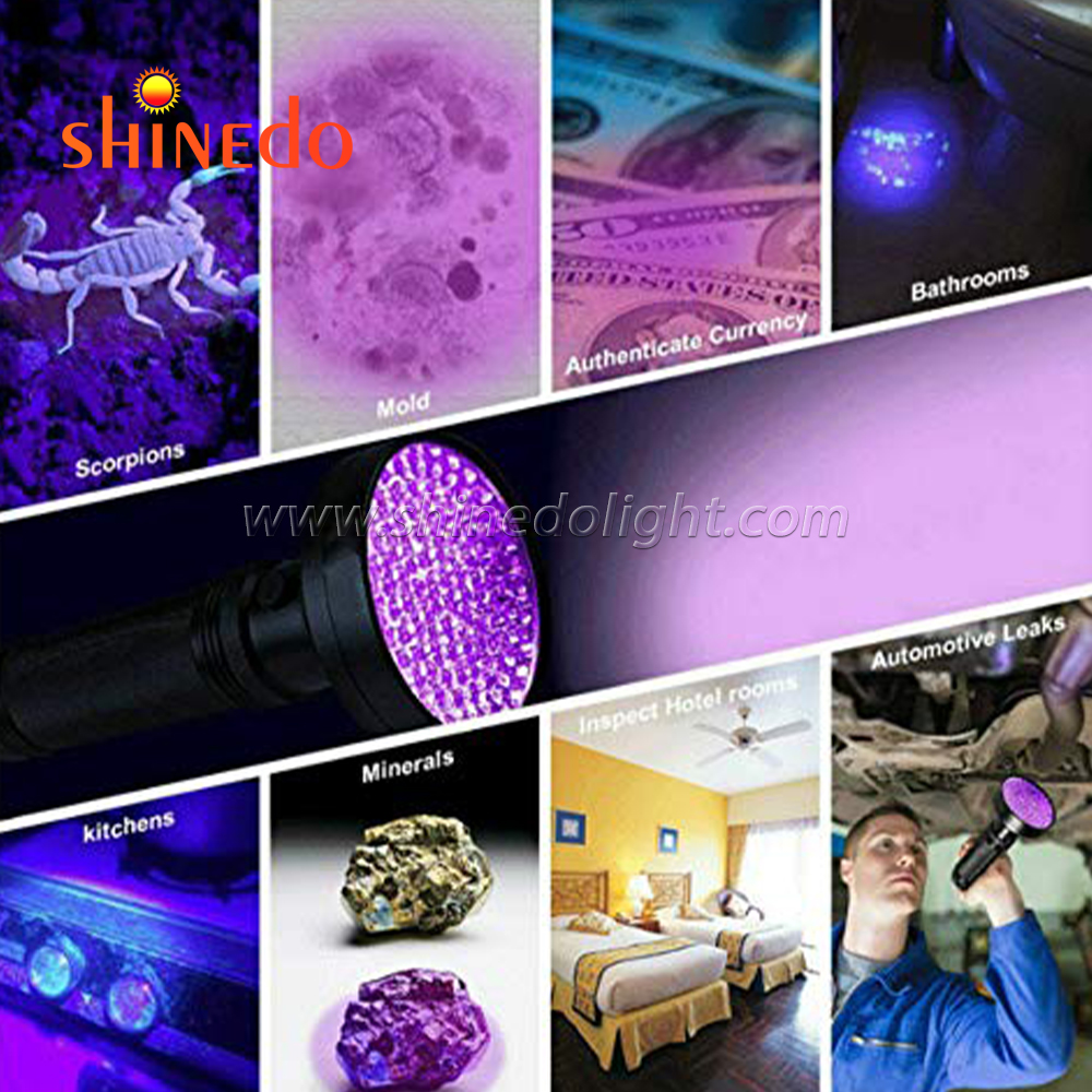 UV Flashlight Black Light, 100 LED 395 nM Ultraviolet Blacklight Detector for Dog Urine, Pet Stains and Bed Bug