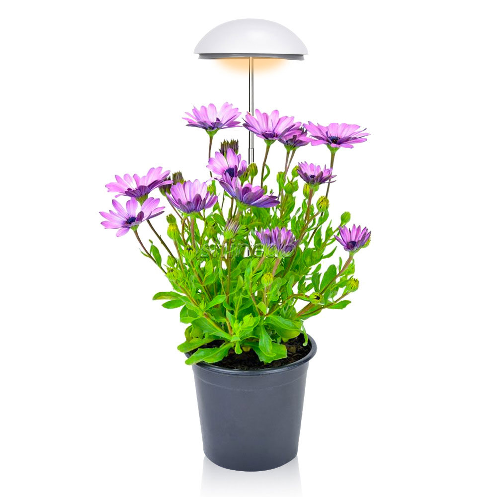 Full spectrum LED Indoor Plant Light Adjustable height LED plant halo light