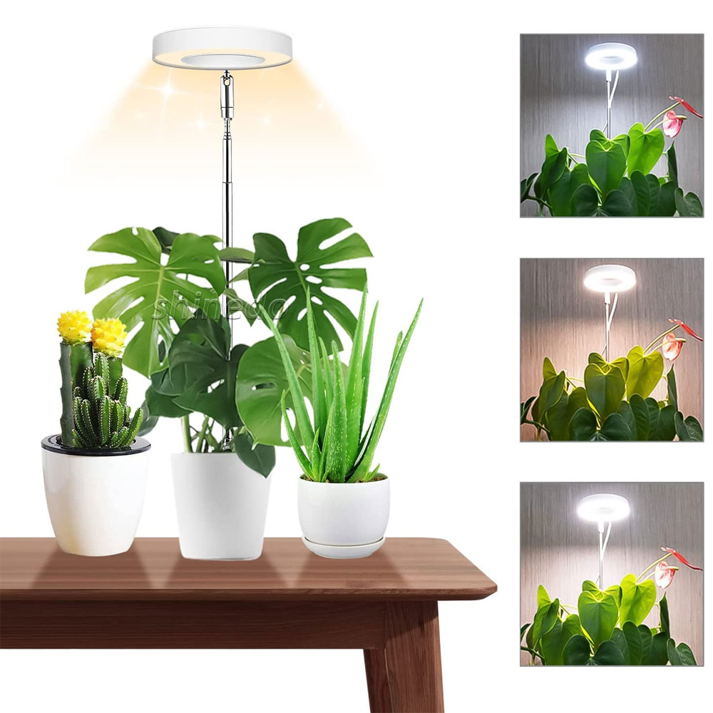 Full spectrum LED Houseplant Light Adjustable Height Growing light timer Switch 4 segments dimming