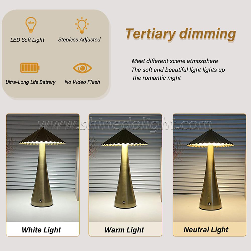 Metal Touch Table Lamp Rechargeable Cordless Decorative Lamp Suitable for Restaurant Hotel Bar Bedroom Bedside Lamp SD-SR728