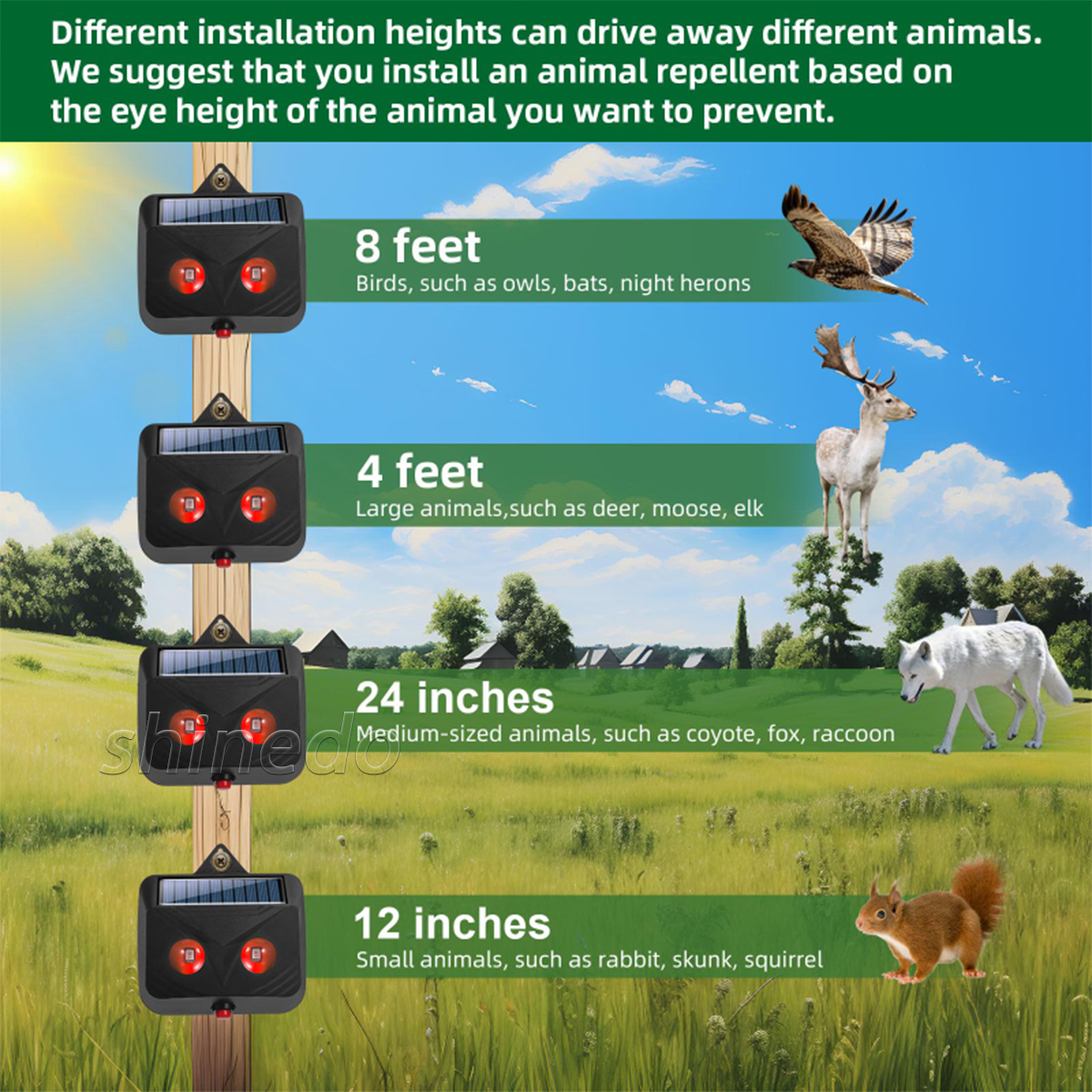 The new solar ultrasonic night mouse repel repels Wolf animals
